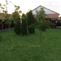 фото из отзыва ID 999461