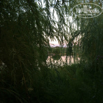 фото из отзыва ID 999461