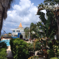 фото из отзыва ID 999508