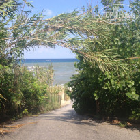 фото из отзыва ID 999508