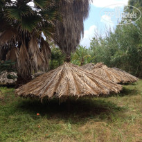 фото из отзыва ID 999508