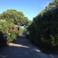 фото из отзыва ID 999508