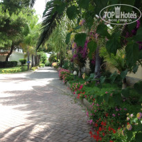 фото из отзыва ID 999508