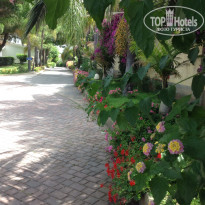 фото из отзыва ID 999508