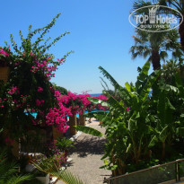 фото из отзыва ID 999880