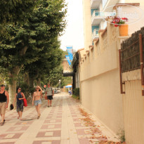 фото из отзыва ID 999903