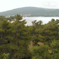 фото из отзыва ID 999925