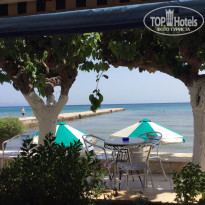 фото из отзыва ID 999971