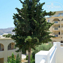 фото из отзыва ID 999977