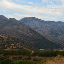 фото из отзыва ID 999092