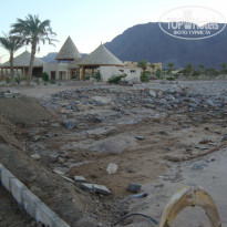 фото из отзыва ID 999685