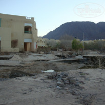 фото из отзыва ID 999685