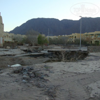 фото из отзыва ID 999685