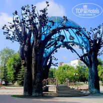 фото из отзыва ID 999762