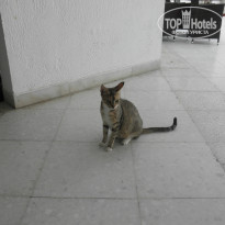 фото из отзыва ID 999210